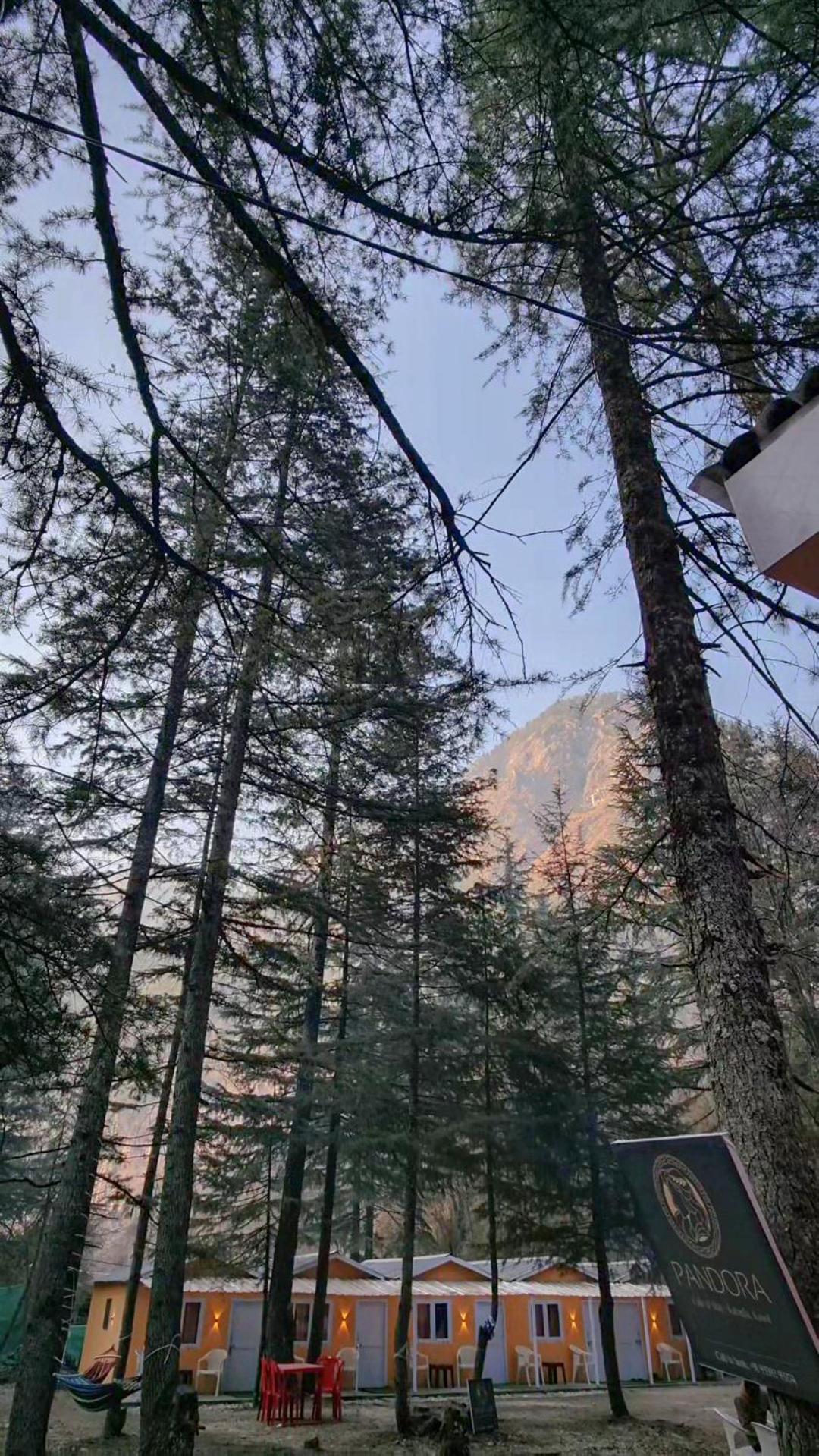 Pandora Riverside Cafe & Stay Kasol Εξωτερικό φωτογραφία